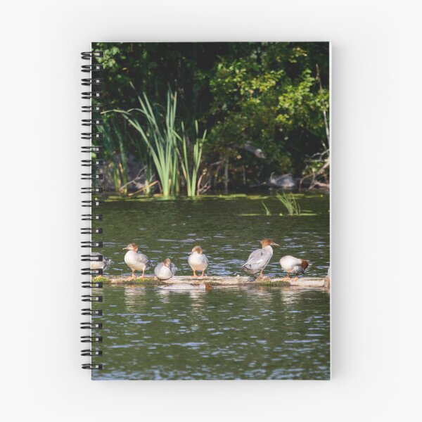 Item preview, Grouprest. Common merganser designed and sold by Jouko Lehto Photography.