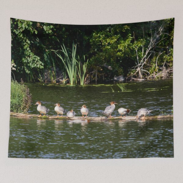 Item preview, Grouprest. Common merganser designed and sold by Jouko Lehto Photography.