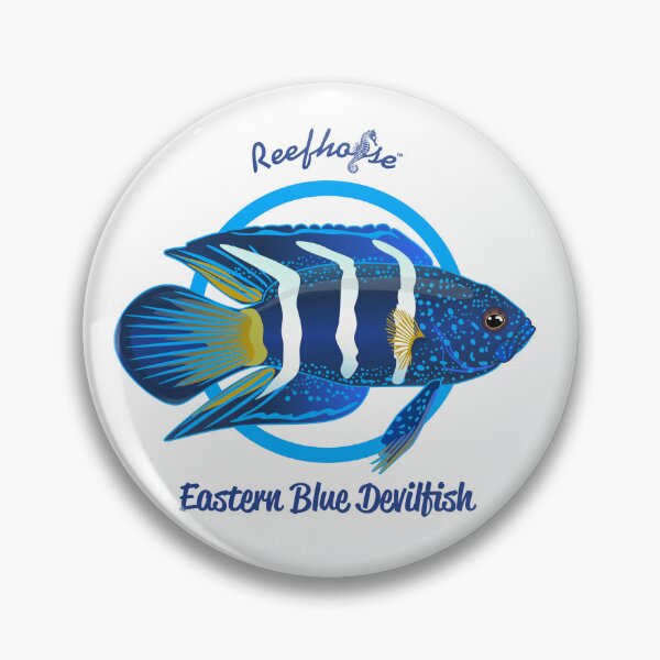 Item preview, Eastern Blue Devilfish designed and sold by KaplanCrypto.