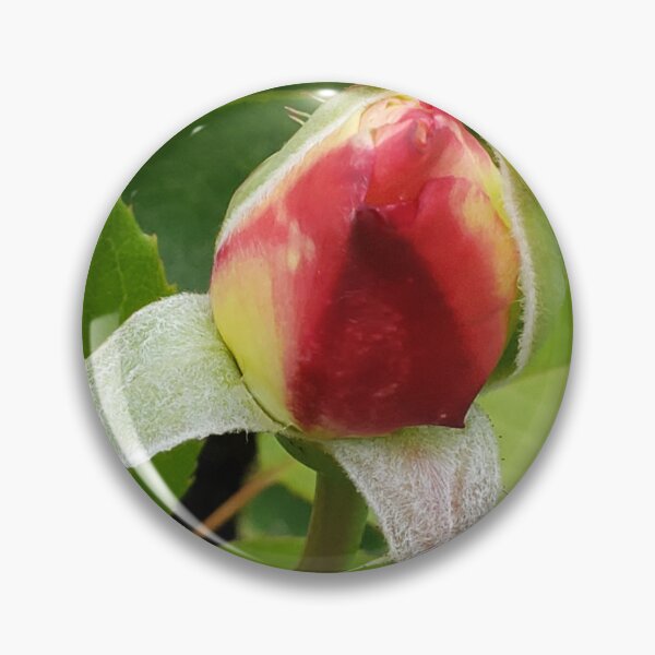 Item preview, Rosebud  designed and sold by DancingCreek.