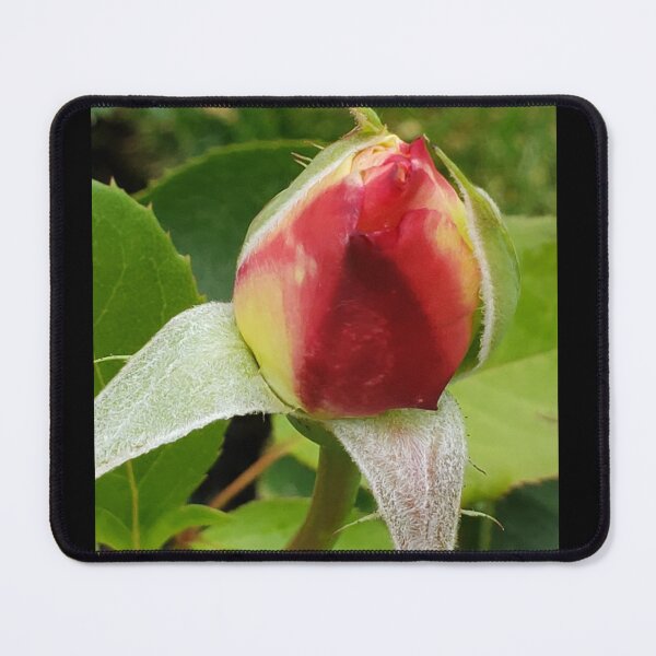 Item preview, Rosebud  designed and sold by DancingCreek.