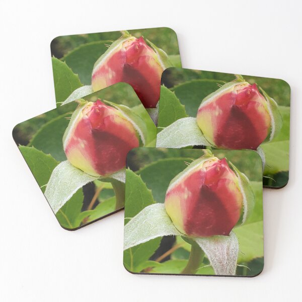 Item preview, Rosebud  designed and sold by DancingCreek.