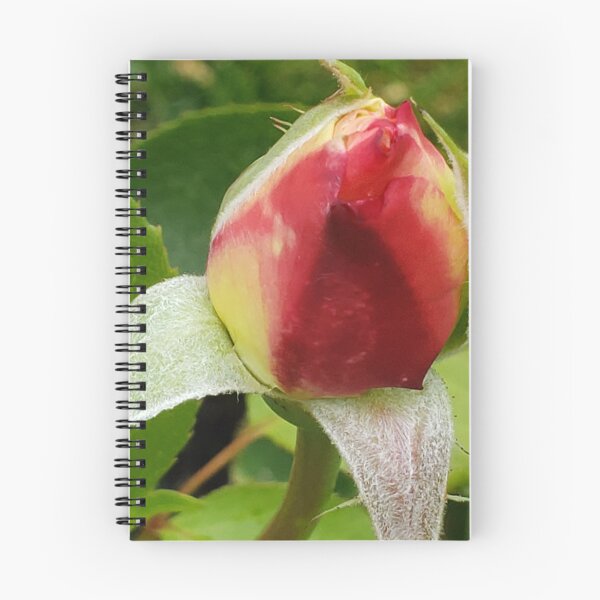 Item preview, Rosebud  designed and sold by DancingCreek.