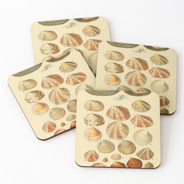 Item preview, BRITISH SHELLS designed and sold by Simone1962.