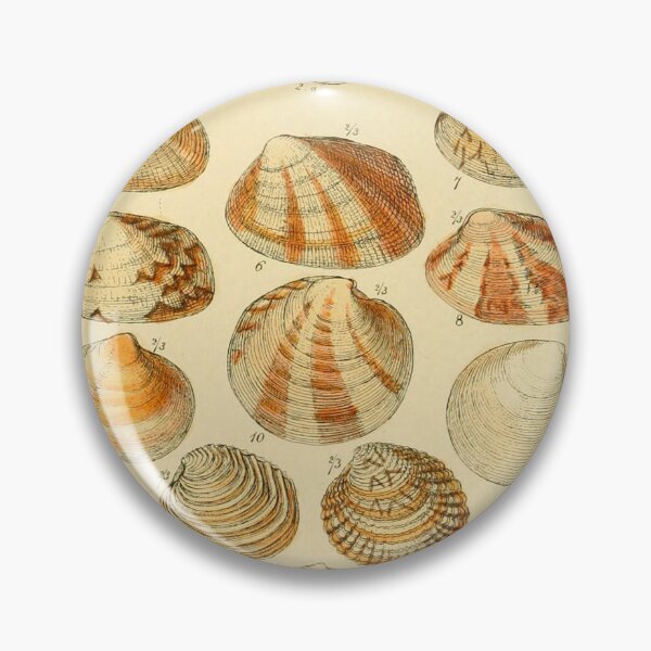 Item preview, BRITISH SHELLS designed and sold by Simone1962.