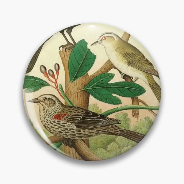 Item preview, REDWING BLACK BIRDS designed and sold by Simone1962.
