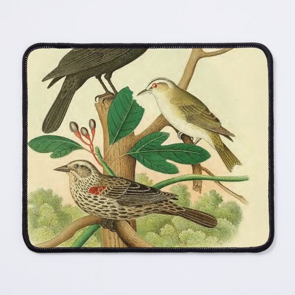 Item preview, REDWING BLACK BIRDS designed and sold by Simone1962.