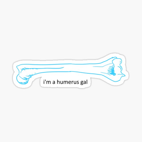 humerus gals rock my sox <3 Sticker