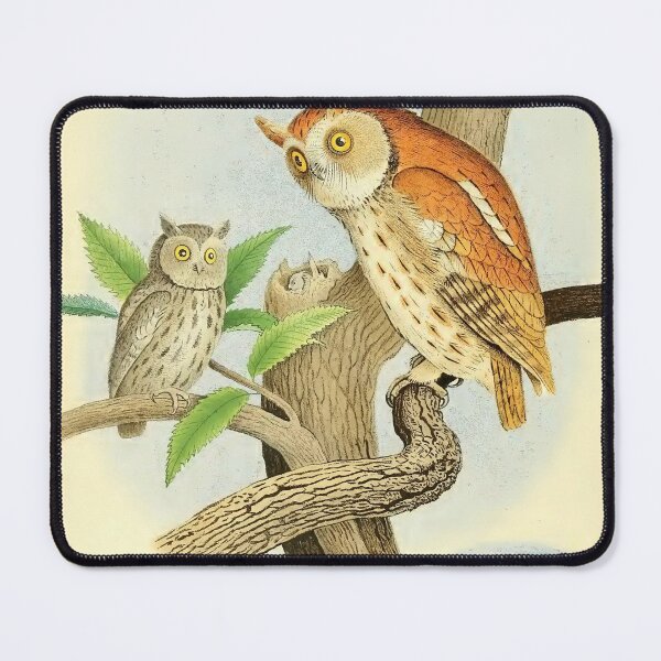 Item preview, Mottled owl designed and sold by Simone1962.