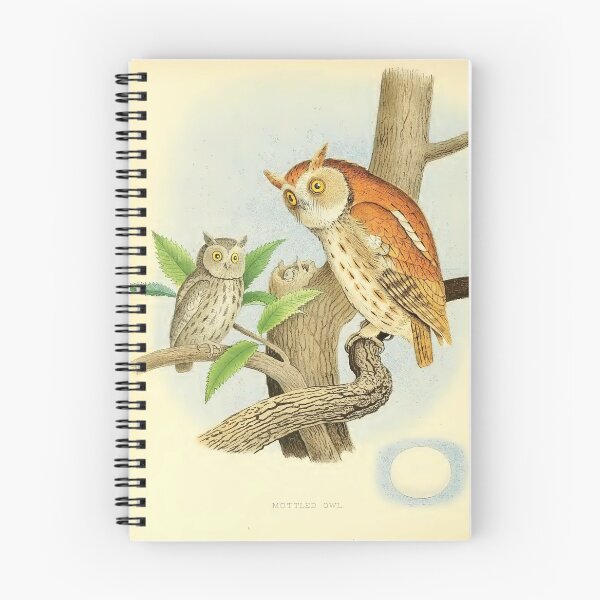 Item preview, Mottled owl designed and sold by Simone1962.