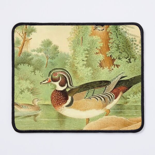 Item preview, Wood duck designed and sold by Simone1962.