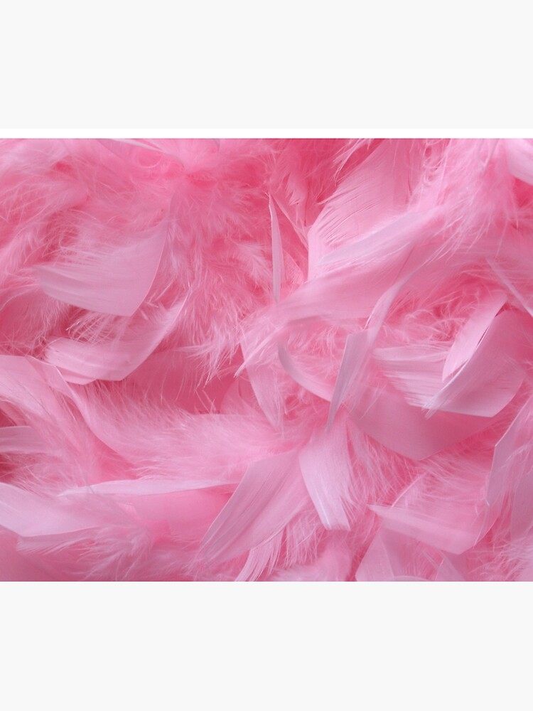 Pink Feathers Art Print