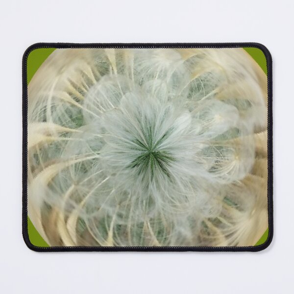 Item preview, Dandelion Bubble designed and sold by Scott and Mary Schneider art_photography.