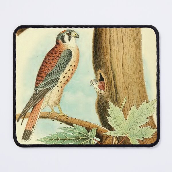 Item preview, Sparrow hawk designed and sold by Simone1962.