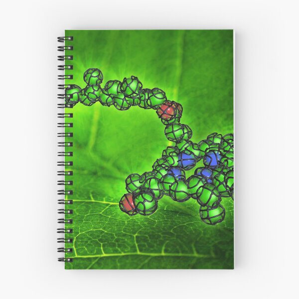 Item preview, Chlorophyll molecule designed and sold by Equinox Graphics.