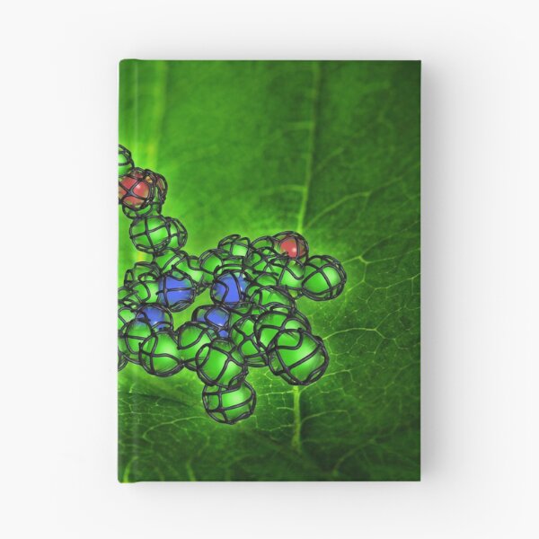 Item preview, Chlorophyll molecule designed and sold by Equinox Graphics.