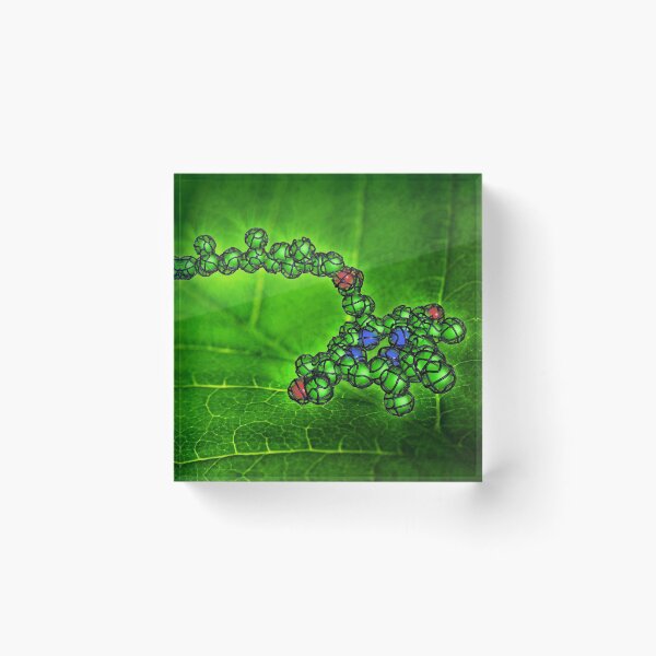 Item preview, Chlorophyll molecule designed and sold by Equinox Graphics.