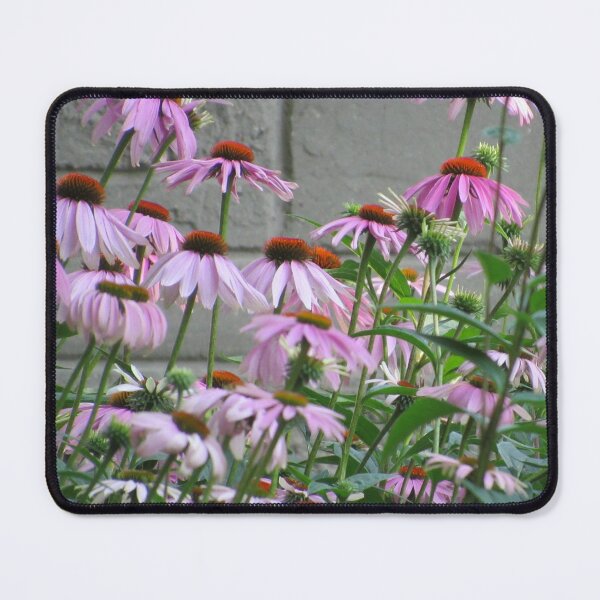 Item preview, Garden of Purple Coneflowers designed and sold by EH-Photo.