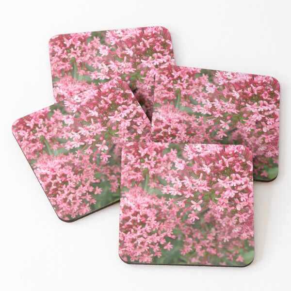Item preview, Pretty Pink Valerian Flowers Photograph designed and sold by naturegallery.