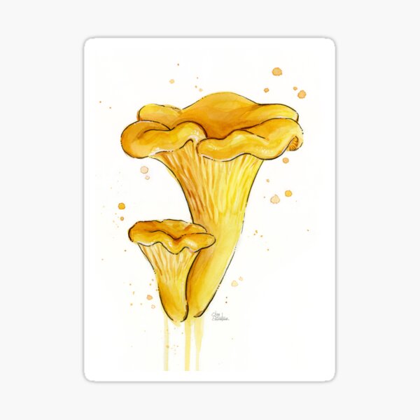 Item preview, Chanterelle Art Watercolor designed and sold by Olga Shvartsur.