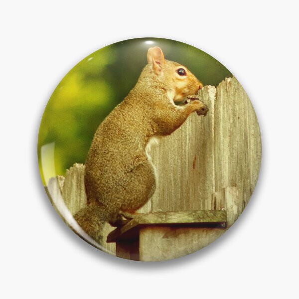 Item preview, Squirrel designed and sold by HisRuin.