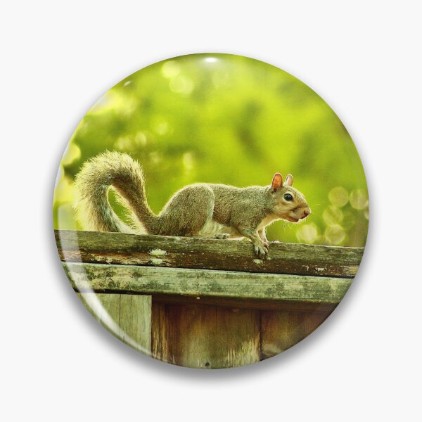 Item preview, Squirrel designed and sold by HisRuin.