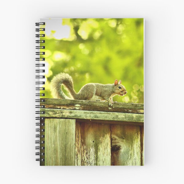 Item preview, Squirrel designed and sold by HisRuin.