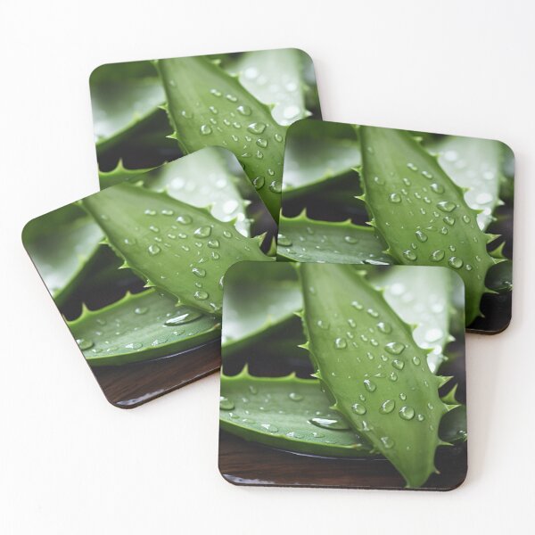 Item preview, Aloe Vera plant designed and sold by Aestheticlanart.