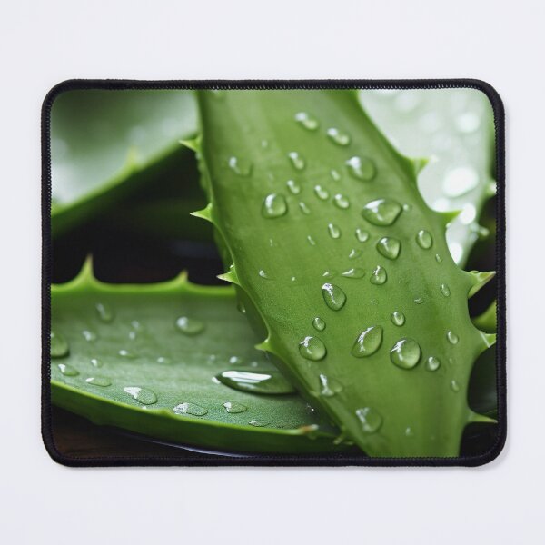 Item preview, Aloe Vera plant designed and sold by Aestheticlanart.