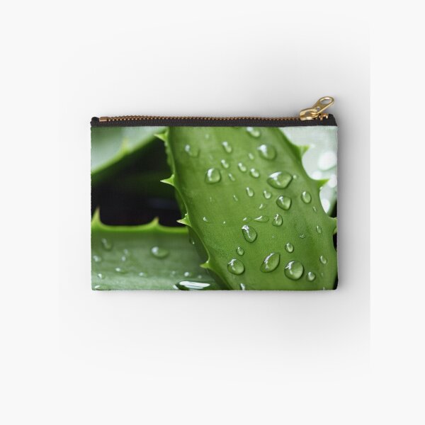 Item preview, Aloe Vera plant designed and sold by Aestheticlanart.
