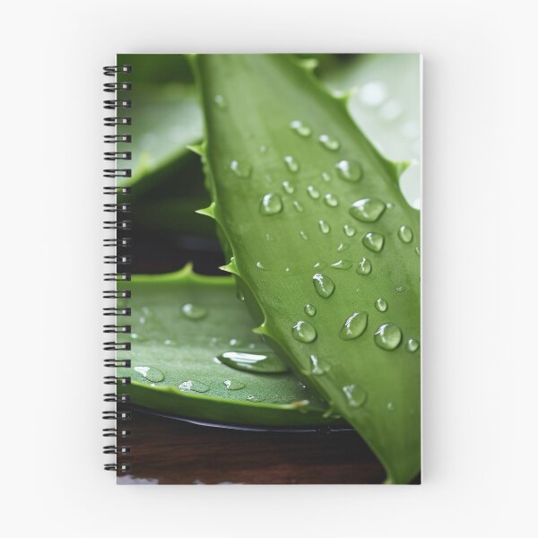 Item preview, Aloe Vera plant designed and sold by Aestheticlanart.