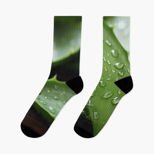 Item preview, Aloe Vera plant designed and sold by Aestheticlanart.