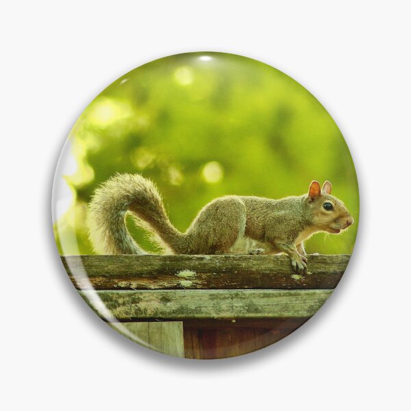 Item preview, Squirrel designed and sold by HisRuin.