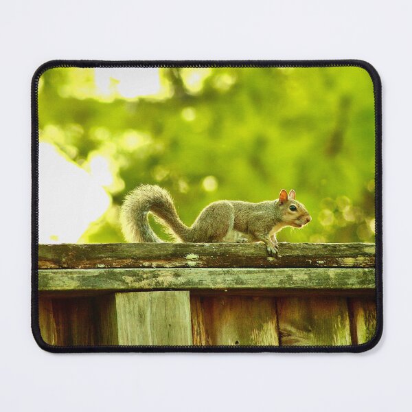 Item preview, Squirrel designed and sold by HisRuin.