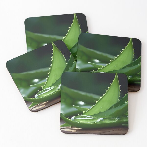 Item preview, Aloe Vera Succulent designed and sold by Aestheticlanart.