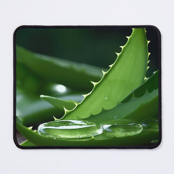 Item preview, Aloe Vera Succulent designed and sold by Aestheticlanart.