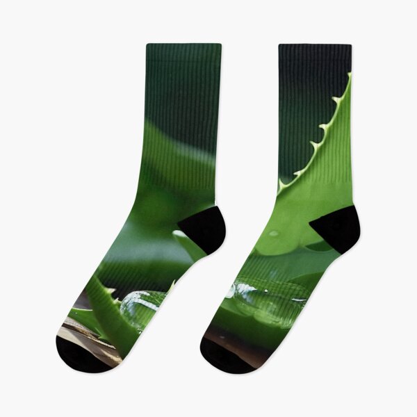 Item preview, Aloe Vera Succulent designed and sold by Aestheticlanart.