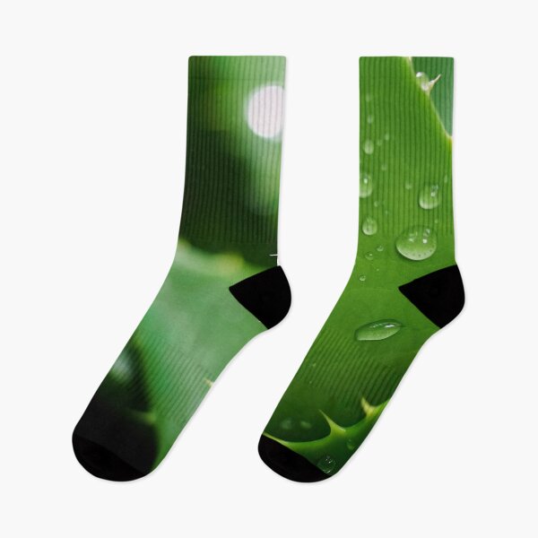 Item preview, Aloe Vera designed and sold by Aestheticlanart.
