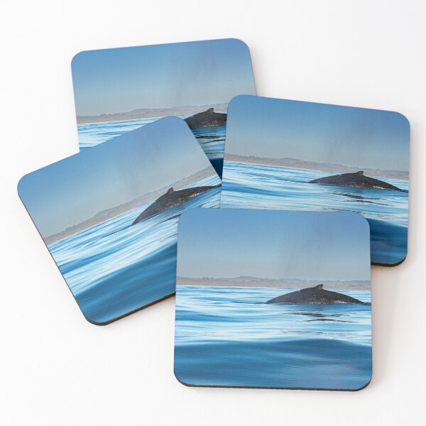 Item preview, Humpback Whale Skims the Surface #1 designed and sold by Barbara Burkhardt.