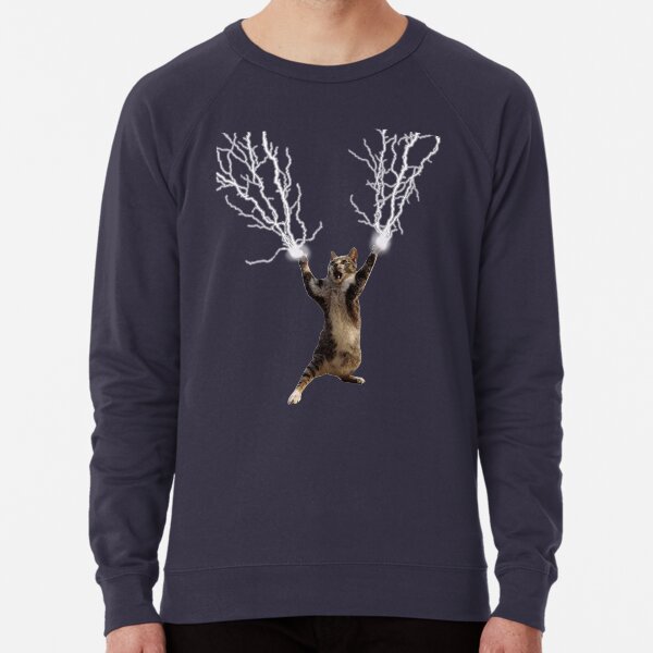 Lightning Cat Sweatshirts Hoodies for Sale Redbubble