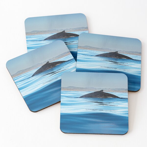 Item preview, Humpback Whale Skims the Surface #2 designed and sold by Barbara Burkhardt.