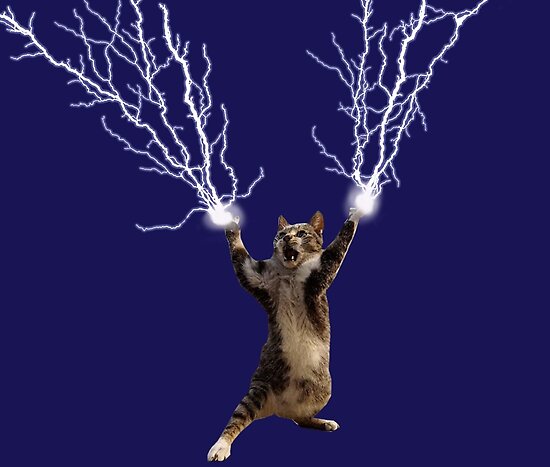  Lightning Cat  Posters by viCdesign Redbubble