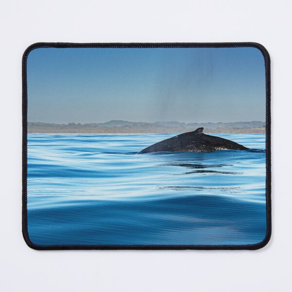 Item preview, Humpback Whale Skims the Surface #1 designed and sold by Barbara Burkhardt.