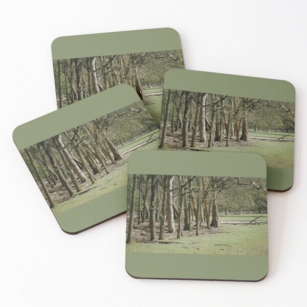 Item preview, Árboles altos de Het Loo designed and sold by LnatureGreen.