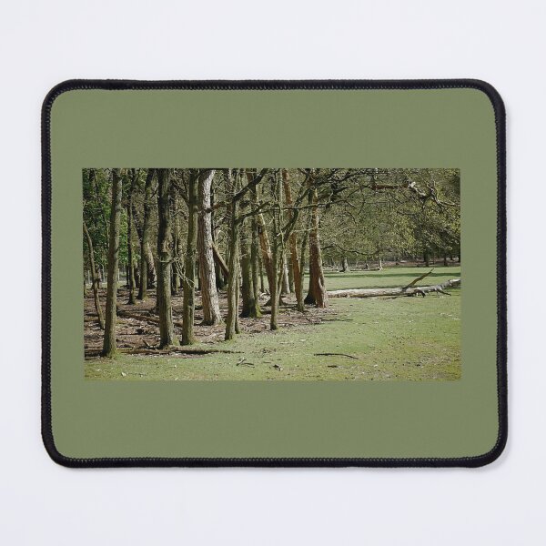 Item preview, Tall trees from Het Loo designed and sold by LnatureGreen.