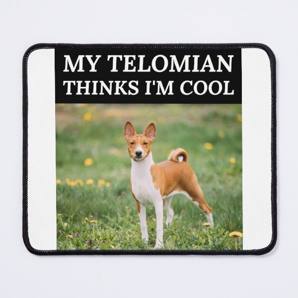 Item preview, My Telomian Thinks I'm Cool - Telomian Owners designed and sold by Allomensiaa.