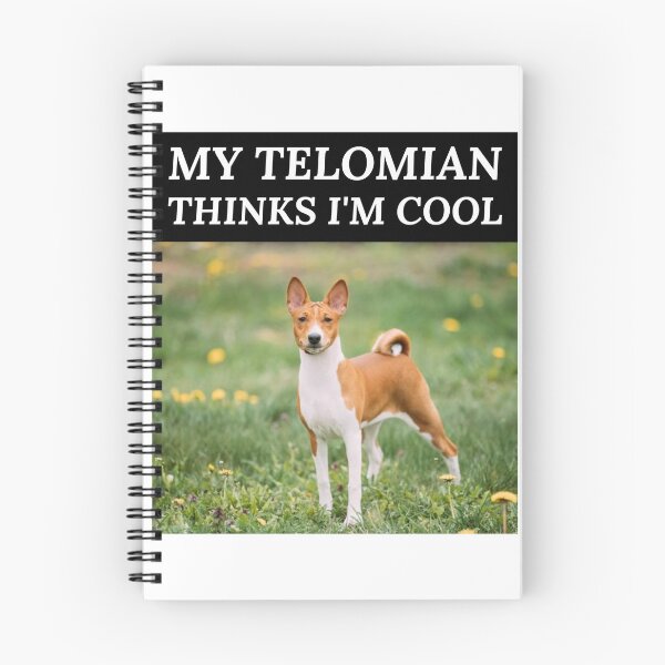 Item preview, My Telomian Thinks I'm Cool - Telomian Owners designed and sold by Allomensiaa.