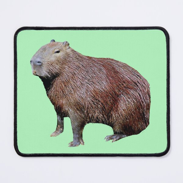 Item preview, Capibara designed and sold by Madwerkz.