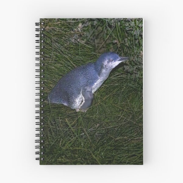Item preview, Little Penguin 01 designed and sold by GaryParnell.