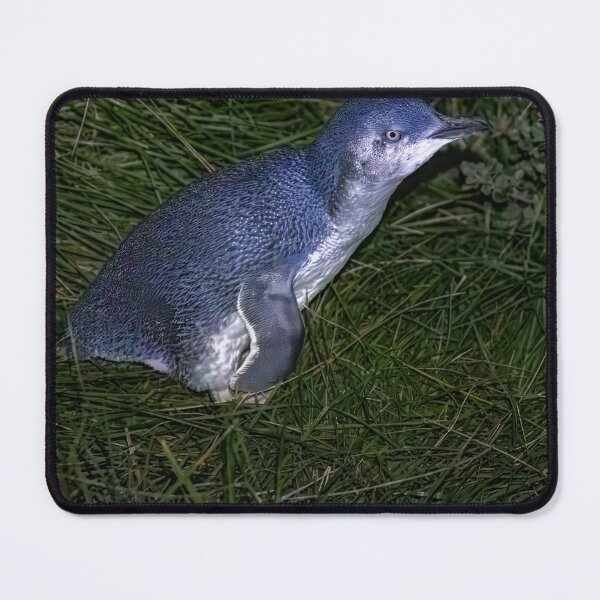 Item preview, Little Penguin 01 designed and sold by GaryParnell.
